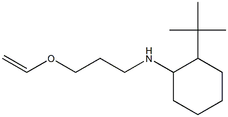 2-tert-butyl-N-[3-(ethenyloxy)propyl]cyclohexan-1-amine Struktur