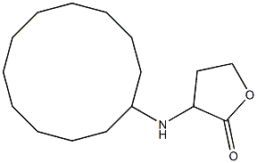 3-(cyclododecylamino)oxolan-2-one Struktur