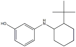 3-[(2-tert-butylcyclohexyl)amino]phenol Struktur