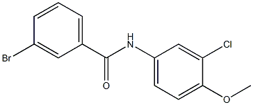 3-bromo-N-(3-chloro-4-methoxyphenyl)benzamide Struktur