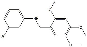 3-bromo-N-[(2,4,5-trimethoxyphenyl)methyl]aniline Struktur