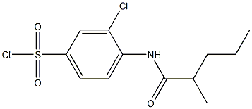 3-chloro-4-(2-methylpentanamido)benzene-1-sulfonyl chloride Struktur