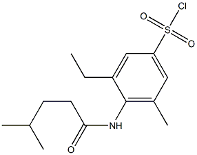 3-ethyl-5-methyl-4-(4-methylpentanamido)benzene-1-sulfonyl chloride Struktur