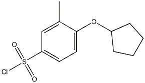 4-(cyclopentyloxy)-3-methylbenzene-1-sulfonyl chloride Struktur