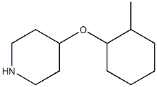 4-[(2-methylcyclohexyl)oxy]piperidine Struktur