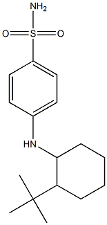 4-[(2-tert-butylcyclohexyl)amino]benzene-1-sulfonamide Struktur