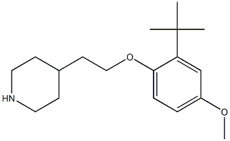 4-[2-(2-tert-butyl-4-methoxyphenoxy)ethyl]piperidine Struktur