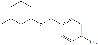 4-{[(3-methylcyclohexyl)oxy]methyl}aniline Struktur