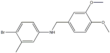 4-bromo-N-[(3,4-dimethoxyphenyl)methyl]-3-methylaniline Struktur