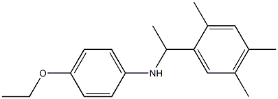 4-ethoxy-N-[1-(2,4,5-trimethylphenyl)ethyl]aniline Struktur