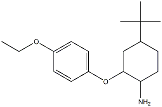 4-tert-butyl-2-(4-ethoxyphenoxy)cyclohexan-1-amine Struktur