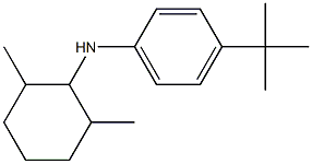 4-tert-butyl-N-(2,6-dimethylcyclohexyl)aniline Struktur