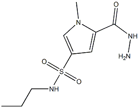 5-(hydrazinocarbonyl)-1-methyl-N-propyl-1H-pyrrole-3-sulfonamide Struktur