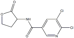 5,6-dichloro-N-(2-oxooxolan-3-yl)pyridine-3-carboxamide Struktur