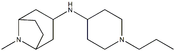 8-methyl-N-(1-propylpiperidin-4-yl)-8-azabicyclo[3.2.1]octan-3-amine Struktur