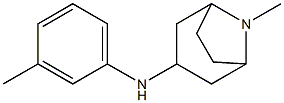 8-methyl-N-(3-methylphenyl)-8-azabicyclo[3.2.1]octan-3-amine Struktur