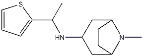 8-methyl-N-[1-(thiophen-2-yl)ethyl]-8-azabicyclo[3.2.1]octan-3-amine Struktur