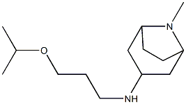 8-methyl-N-[3-(propan-2-yloxy)propyl]-8-azabicyclo[3.2.1]octan-3-amine Struktur