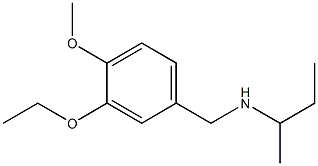 butan-2-yl[(3-ethoxy-4-methoxyphenyl)methyl]amine Struktur