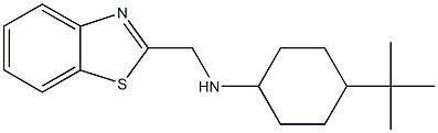 N-(1,3-benzothiazol-2-ylmethyl)-4-tert-butylcyclohexan-1-amine Struktur