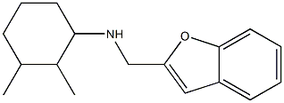 N-(1-benzofuran-2-ylmethyl)-2,3-dimethylcyclohexan-1-amine Struktur