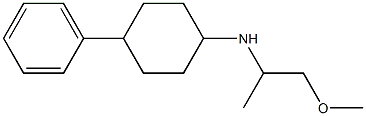 N-(1-methoxypropan-2-yl)-4-phenylcyclohexan-1-amine Struktur