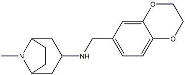 N-(2,3-dihydro-1,4-benzodioxin-6-ylmethyl)-8-methyl-8-azabicyclo[3.2.1]octan-3-amine Struktur