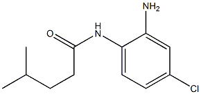 N-(2-amino-4-chlorophenyl)-4-methylpentanamide Struktur