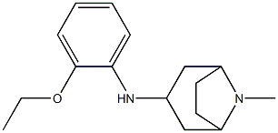 N-(2-ethoxyphenyl)-8-methyl-8-azabicyclo[3.2.1]octan-3-amine Struktur