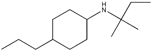 N-(2-methylbutan-2-yl)-4-propylcyclohexan-1-amine Struktur