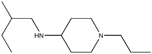 N-(2-methylbutyl)-1-propylpiperidin-4-amine Struktur