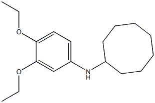 N-(3,4-diethoxyphenyl)cyclooctanamine Struktur