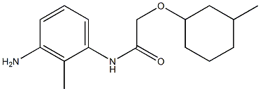 N-(3-amino-2-methylphenyl)-2-[(3-methylcyclohexyl)oxy]acetamide Struktur