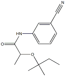 N-(3-cyanophenyl)-2-[(2-methylbutan-2-yl)oxy]propanamide Struktur