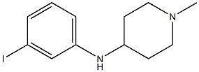 N-(3-iodophenyl)-1-methylpiperidin-4-amine Struktur