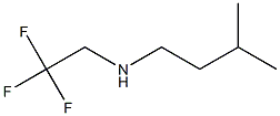 N-(3-methylbutyl)-N-(2,2,2-trifluoroethyl)amine Struktur