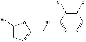 N-[(5-bromofuran-2-yl)methyl]-2,3-dichloroaniline Struktur