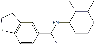 N-[1-(2,3-dihydro-1H-inden-5-yl)ethyl]-2,3-dimethylcyclohexan-1-amine Struktur