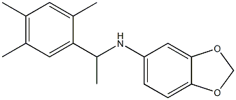 N-[1-(2,4,5-trimethylphenyl)ethyl]-2H-1,3-benzodioxol-5-amine Struktur