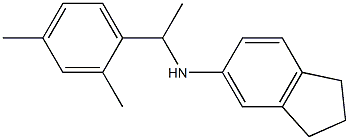 N-[1-(2,4-dimethylphenyl)ethyl]-2,3-dihydro-1H-inden-5-amine Struktur