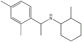 N-[1-(2,4-dimethylphenyl)ethyl]-2-methylcyclohexan-1-amine Struktur