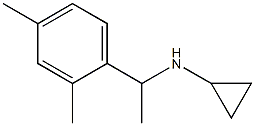 N-[1-(2,4-dimethylphenyl)ethyl]cyclopropanamine Struktur