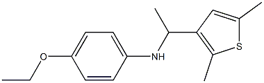 N-[1-(2,5-dimethylthiophen-3-yl)ethyl]-4-ethoxyaniline Struktur