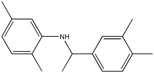 N-[1-(3,4-dimethylphenyl)ethyl]-2,5-dimethylaniline Struktur