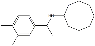 N-[1-(3,4-dimethylphenyl)ethyl]cyclooctanamine Struktur