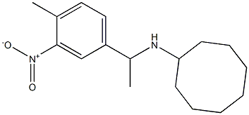 N-[1-(4-methyl-3-nitrophenyl)ethyl]cyclooctanamine Struktur