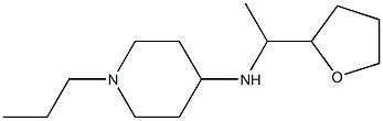 N-[1-(oxolan-2-yl)ethyl]-1-propylpiperidin-4-amine Struktur