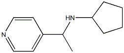 N-[1-(pyridin-4-yl)ethyl]cyclopentanamine Struktur