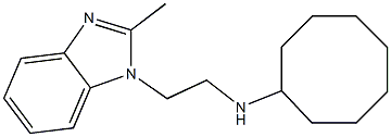 N-[2-(2-methyl-1H-1,3-benzodiazol-1-yl)ethyl]cyclooctanamine Struktur