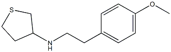 N-[2-(4-methoxyphenyl)ethyl]thiolan-3-amine Struktur